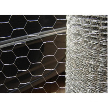 Reverse Twist Hexagonal Wire Netting Trade Integration